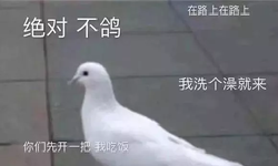 Featured image of post 游戏
