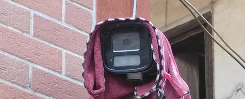 Featured image of post 来自外婆的爱