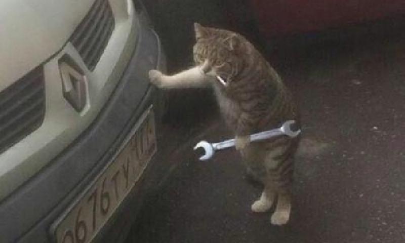 Featured image of post 开始在深圳打工的那些事